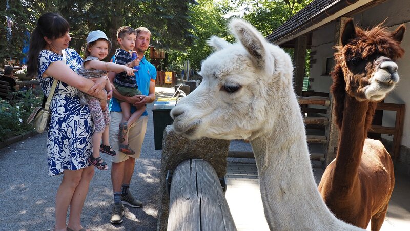 Abbildung Tierpark Bischofswerda